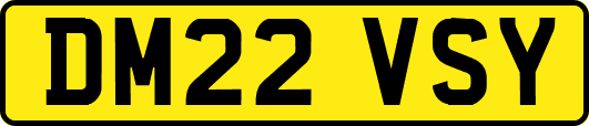 DM22VSY