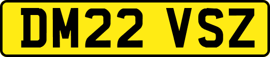 DM22VSZ