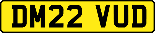 DM22VUD