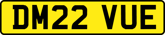 DM22VUE