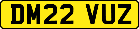 DM22VUZ