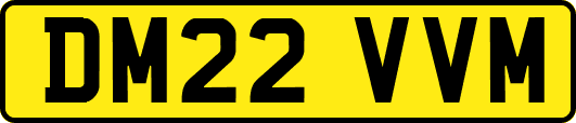 DM22VVM