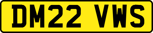DM22VWS