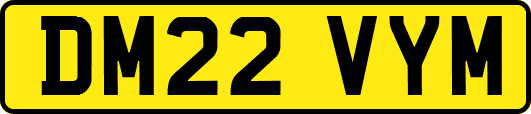 DM22VYM