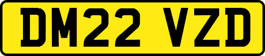 DM22VZD
