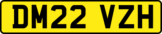 DM22VZH