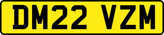 DM22VZM