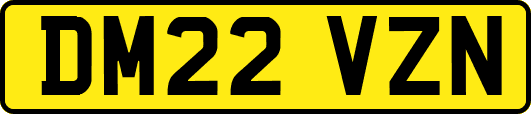 DM22VZN