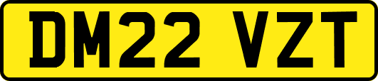 DM22VZT