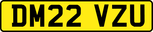 DM22VZU