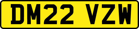 DM22VZW