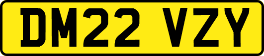 DM22VZY