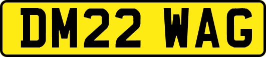 DM22WAG