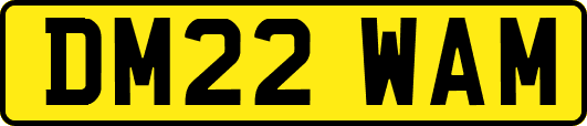 DM22WAM