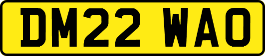 DM22WAO