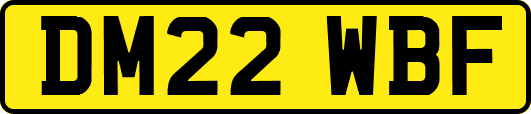 DM22WBF