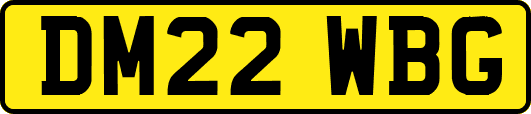 DM22WBG