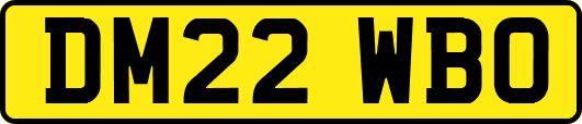 DM22WBO