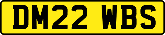 DM22WBS