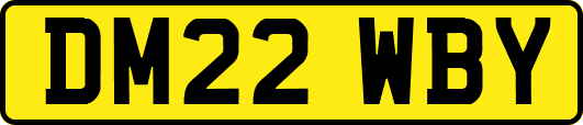 DM22WBY