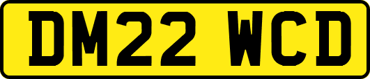 DM22WCD