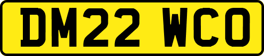 DM22WCO