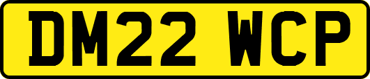 DM22WCP
