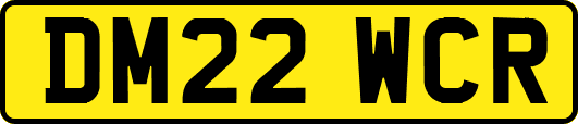 DM22WCR