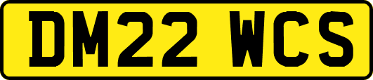 DM22WCS