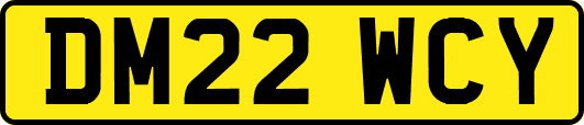 DM22WCY