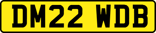 DM22WDB