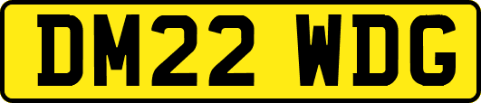 DM22WDG