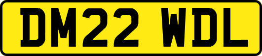 DM22WDL