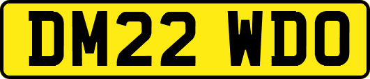 DM22WDO