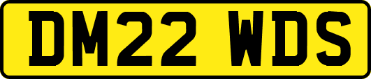 DM22WDS