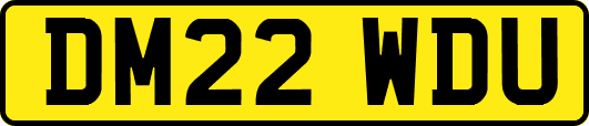 DM22WDU