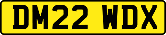 DM22WDX