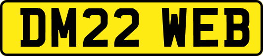 DM22WEB