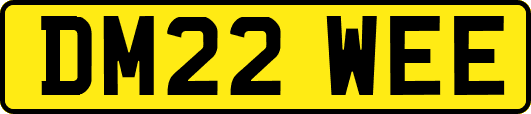 DM22WEE