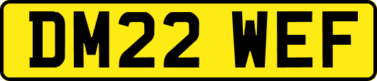 DM22WEF