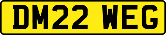 DM22WEG