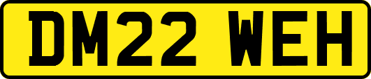 DM22WEH