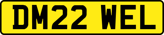DM22WEL