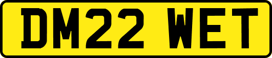 DM22WET