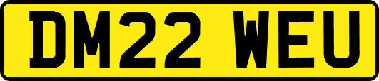 DM22WEU