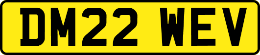 DM22WEV