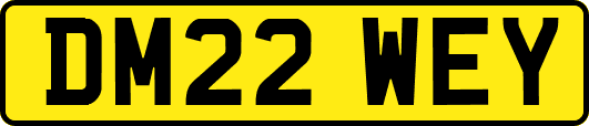 DM22WEY