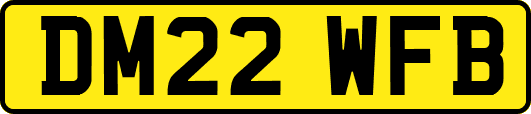 DM22WFB