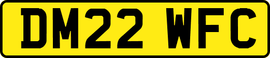 DM22WFC