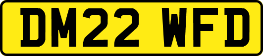 DM22WFD